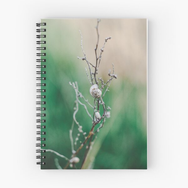Item preview, snail shell on branch Green nature designed and sold by Phanaturalis.
