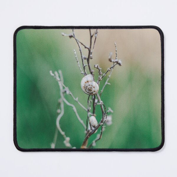 Item preview, snail shell on branch Green nature designed and sold by Phanaturalis.