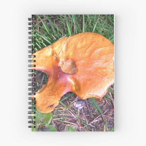 Item preview, Orange Fungus designed and sold by lezvee.