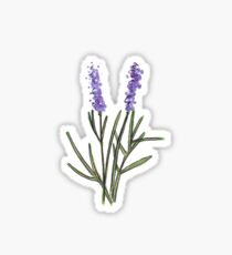 Lavendel Sticker