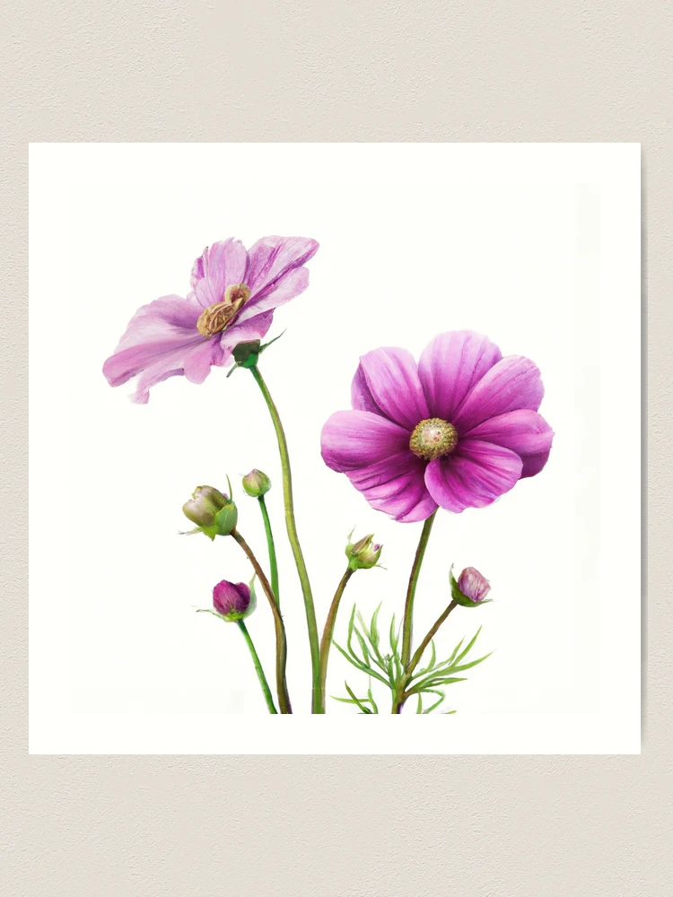 Purple Cosmos ~ Original Fine Art Flower selling Print