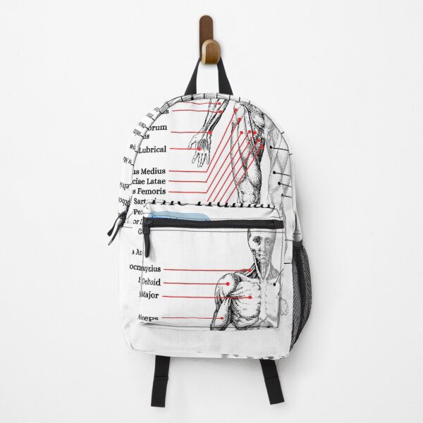 Item preview, The Human Muscles, anatomy, vintage designed and sold by DeVeauDesign.