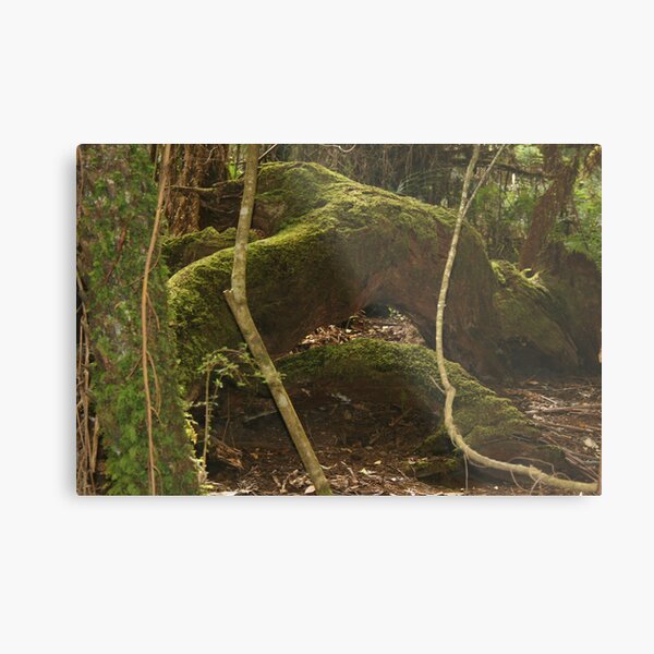 Item preview, Forest Floor designed and sold by daverach1.