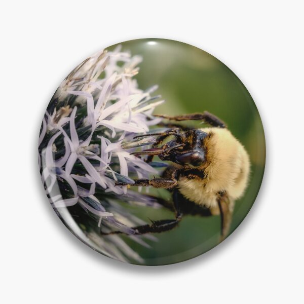 Item preview, Small Globe Thistle With Bee 9 designed and sold by Robert Alsop.