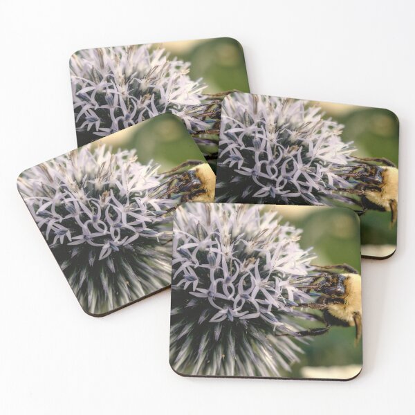 Item preview, Small Globe Thistle With Bee 9 designed and sold by Robert Alsop.