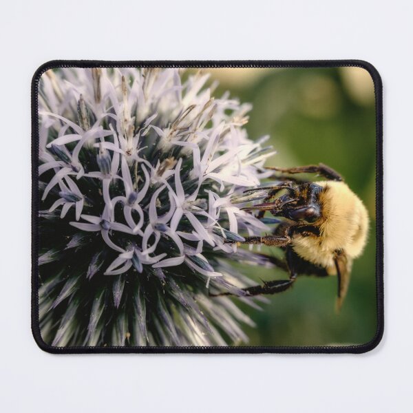 Item preview, Small Globe Thistle With Bee 9 designed and sold by Robert Alsop.