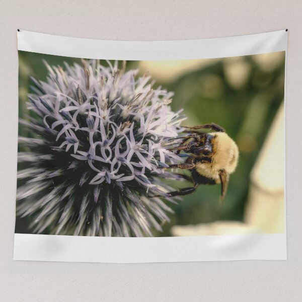 Item preview, Small Globe Thistle With Bee 9 designed and sold by Robert Alsop.