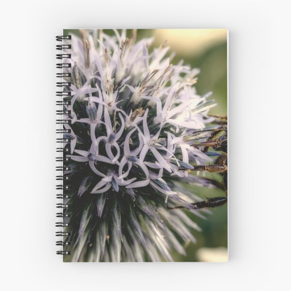 Item preview, Small Globe Thistle With Bee 9 designed and sold by Robert Alsop.