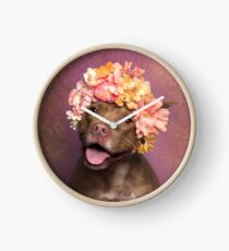 Flowerpower, Topas Uhr