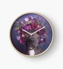 Flower Power, Aria Clock