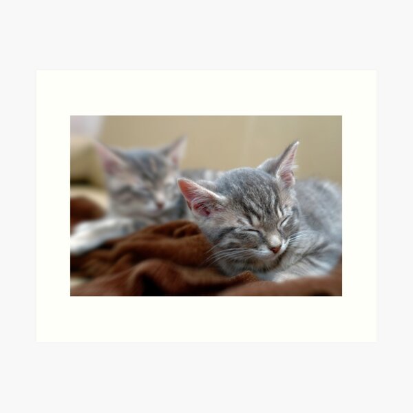 Twins sleeping Art Print