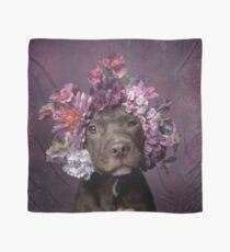 Flower Power, Dax Scarf