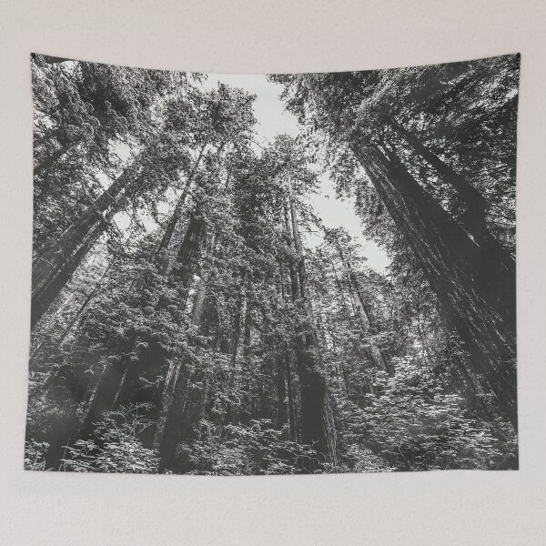 Item preview, Achromatic Cali-Redwood National State Park, California Black and White Photography designed and sold by BossyCatHome.