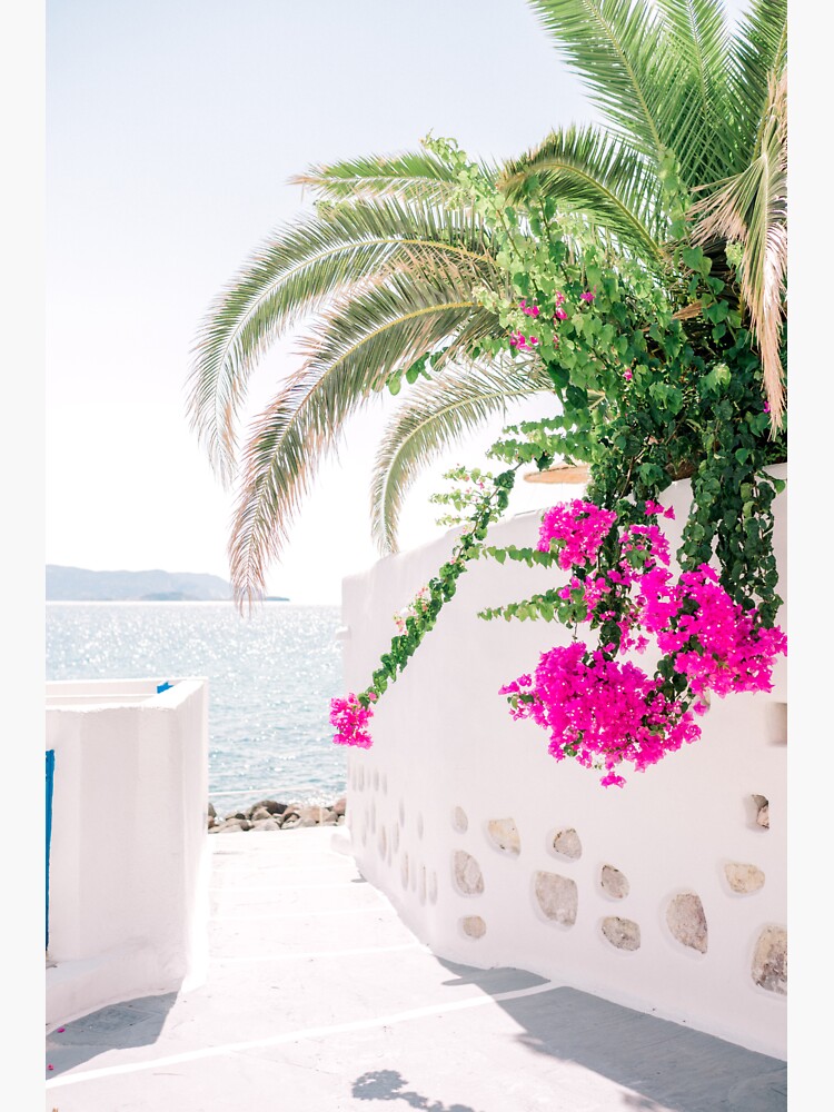 "Milos 0004 Bougainvillea, Pollonia, Milos, Greece" Sticker for Sale