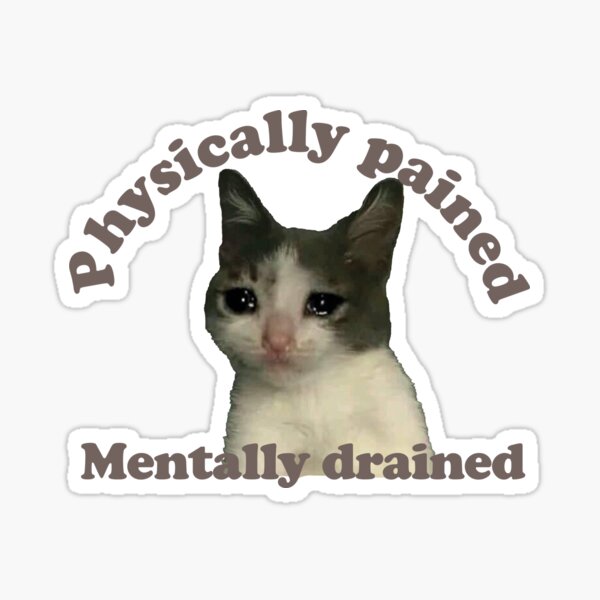 Physically Pained, Mentally Drained Raccoon Meme Sticker for Sale by  JinglesArt