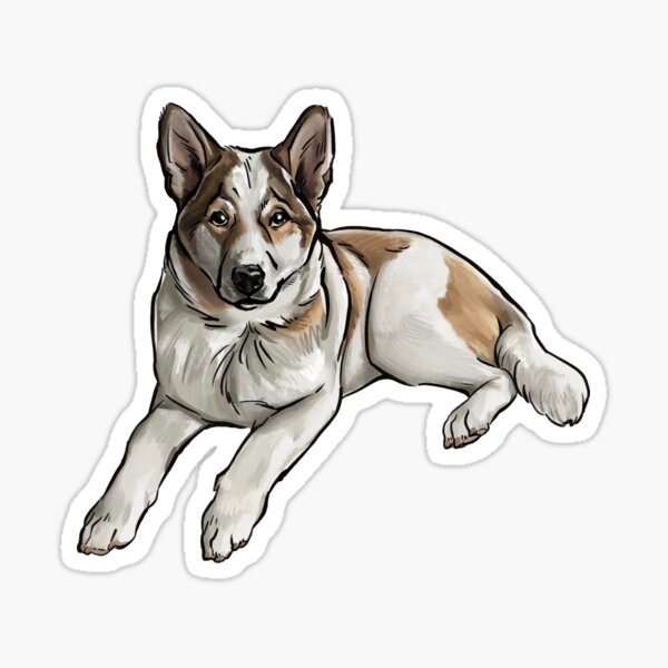 Artikel-Vorschau von Laika, designt und verkauft von Sammalpeitto.