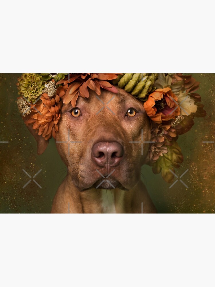 Flower Power, Finn by SophieGamand