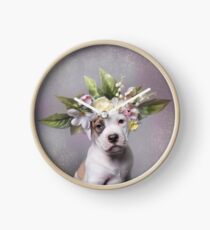 Flower Power, Adam Clock