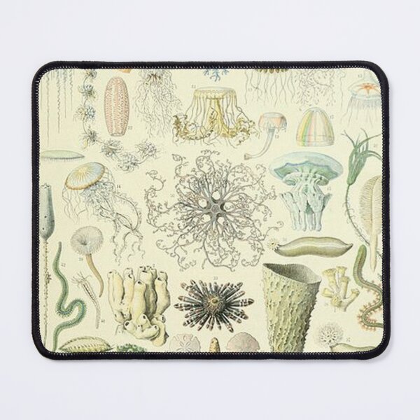Item preview, Oceanography -Oceanographie by Adolphe Millot designed and sold by tomorrowsart.