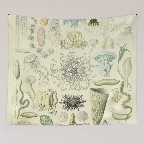Item preview, Oceanography -Oceanographie by Adolphe Millot designed and sold by tomorrowsart.