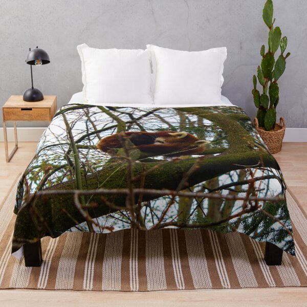 Item preview, Red Panda sleeping on a tree designed and sold by chiaravisuals.