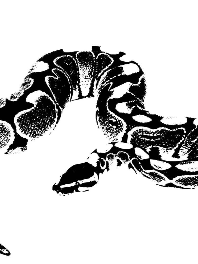Thumbnail 4 of 4, iPhone Case, Ball Python  designed and sold by xtie.