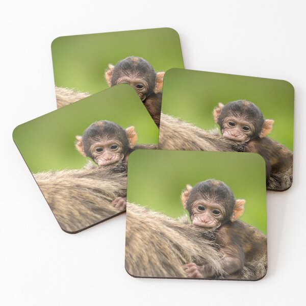 Item preview, Barbary macaque 2 designed and sold by Darren Wilkes.