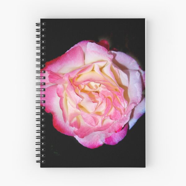 Item preview, double delight rose 11/18/17 designed and sold by Shellaqua.