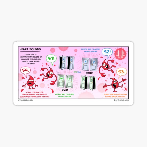 Heart Sounds Sticker