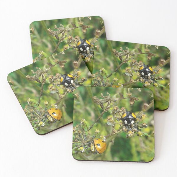 Item preview, Ladybirds designed and sold by SandersSP-Merch.