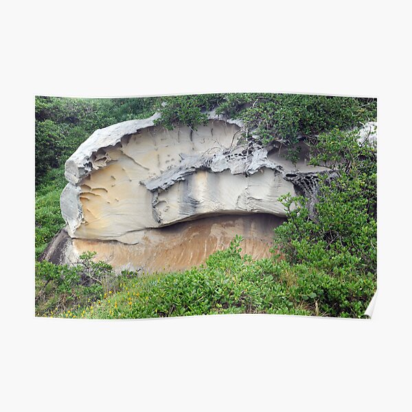 Fascinating rock near Bondi Beach, NSW Poster