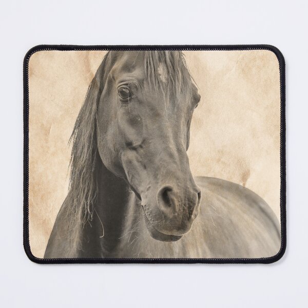 Item preview, Curious brown Arabian horse blended on old paper designed and sold by NickoPrints.