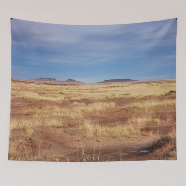 Item preview, Navajo desert designed and sold by Maxiverse.