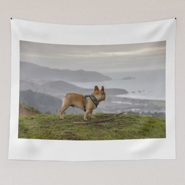 Item preview, French Bulldog looking backwards at coastal views designed and sold by yhelfman.