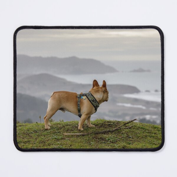 Item preview, French Bulldog looking backwards at coastal views designed and sold by yhelfman.