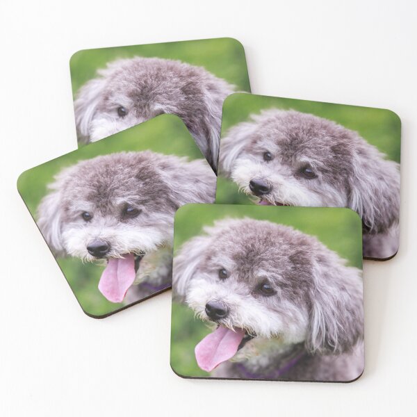 Item preview, Schnoodle Head Shot designed and sold by yhelfman.