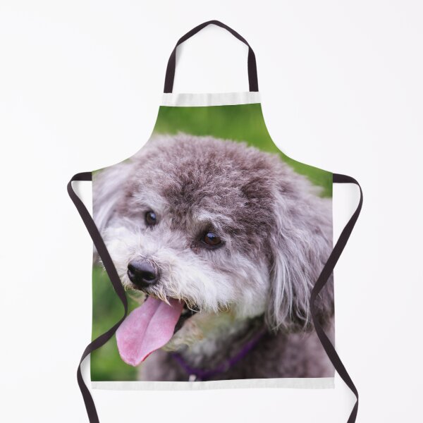 Item preview, Schnoodle Head Shot designed and sold by yhelfman.