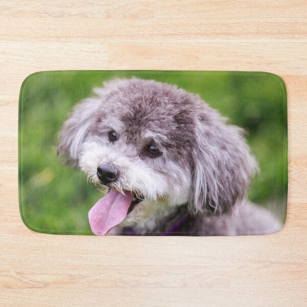 Item preview, Schnoodle Head Shot designed and sold by yhelfman.