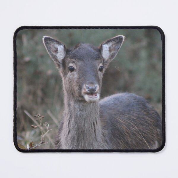 Item preview, Fabulous Fallow  designed and sold by naturaltiger.