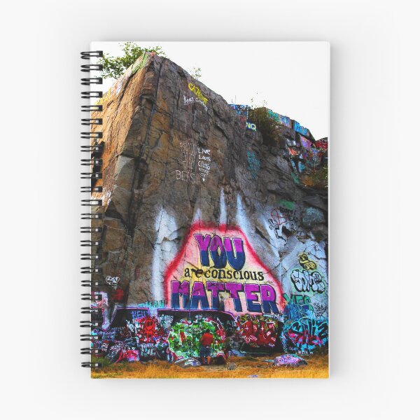 Item preview, Graffiti Art at the Quincy Quarries in Quincy, Massachusetts designed and sold by SouthShorePics.