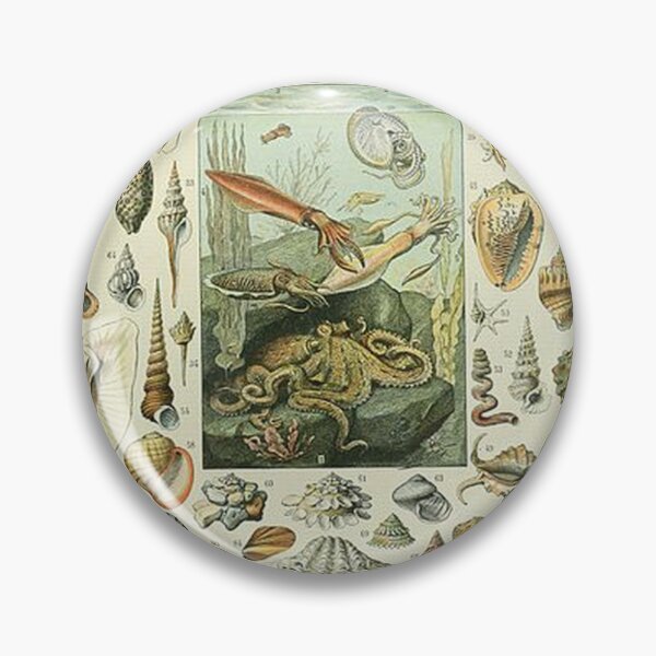 Item preview, Mollusques by Adolphe Millot designed and sold by tomorrowsart.