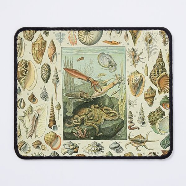 Item preview, Moluscos de Adolphe Millot designed and sold by tomorrowsart.