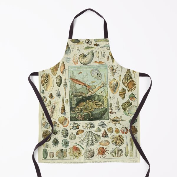 Aperçu de l'œuvre Mollusques d'Adolphe Millot créée et vendue par tomorrowsart.
