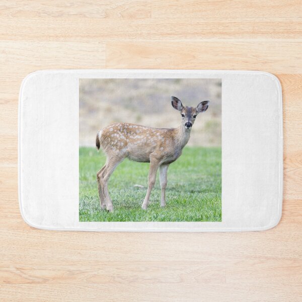 Item preview, Alerted White-spotted Black-tailed Deer Fawn Grazing designed and sold by yhelfman.