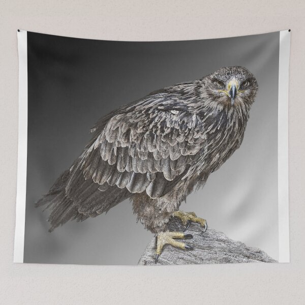 Item preview, Bird of Prey designed and sold by Sheila Laurens.