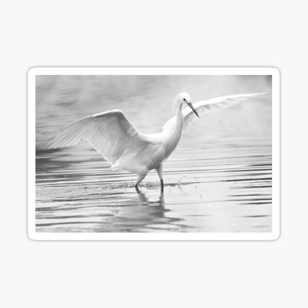 The Dancing Egret Sticker