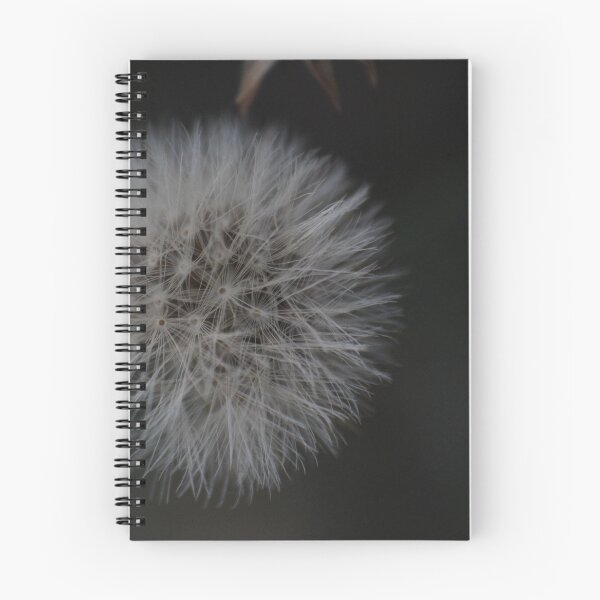 Item preview, Dandelion Tuft designed and sold by Robert Engels.