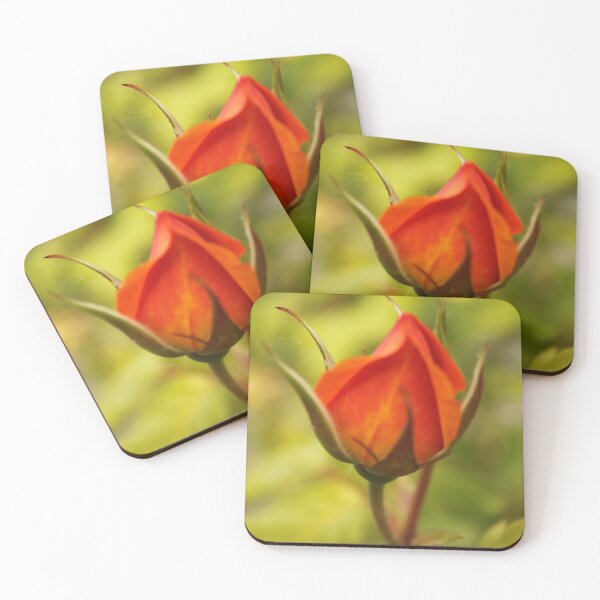 Item preview, Lovely red rose bud photography. designed and sold by naturematters.