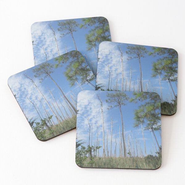 Item preview, The Living and the Dead designed and sold by Tonia Delozier's Photography .