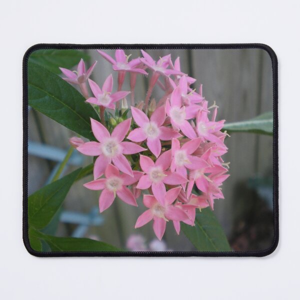 Item preview, Country Pink designed and sold by Rebekah  McLeod.